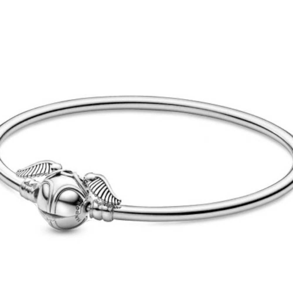 Pandora Moments Harry Potter - Retired and Rare to Find